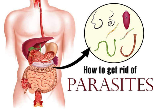 14 Day - Parasite Cleanse Programme