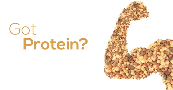 Protein: Do you really know why you need it?