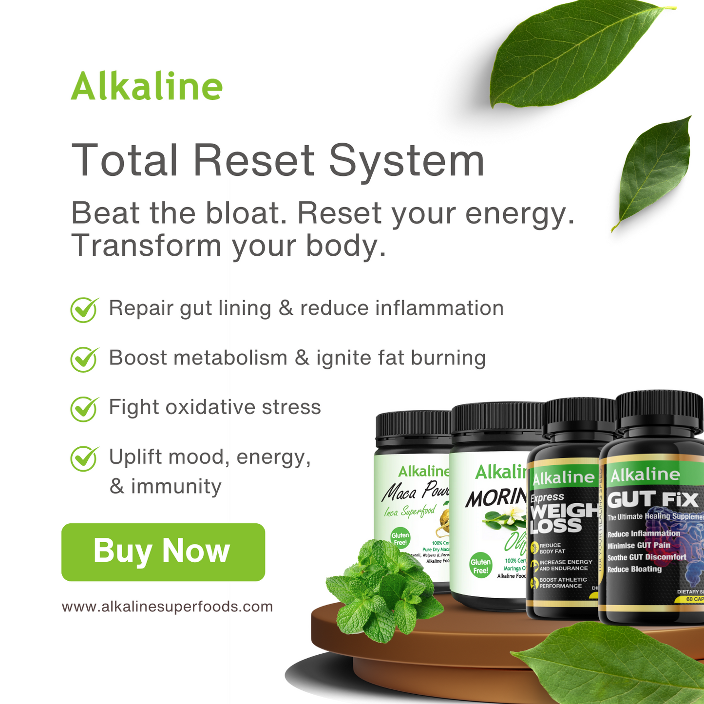 Total Reset System
